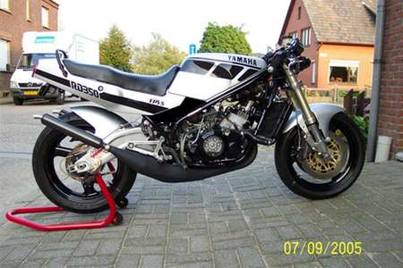 Knock out RD350