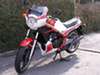 31K <br>1983